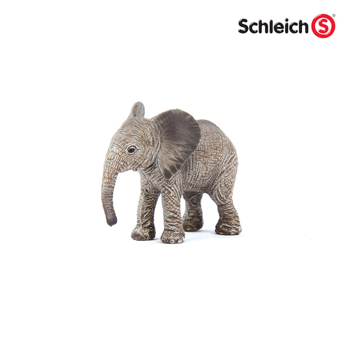 [슐라이히] 새끼 아프리카 코끼리 SL14763