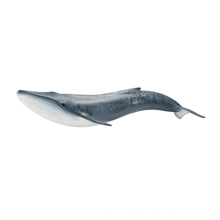 [슐라이히] 흰긴수염고래 SL14696 [무료배송]
